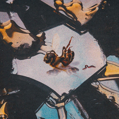 Stain The Canvas Unveils "stupid boy" feat. As December Falls